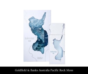 French Avenue Ravine Ice EDP 100ml.jpg