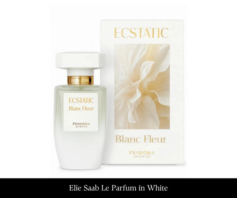 Pendora Scents Ecstatic Blanc Fleur 100 ml EDP(1).jpg