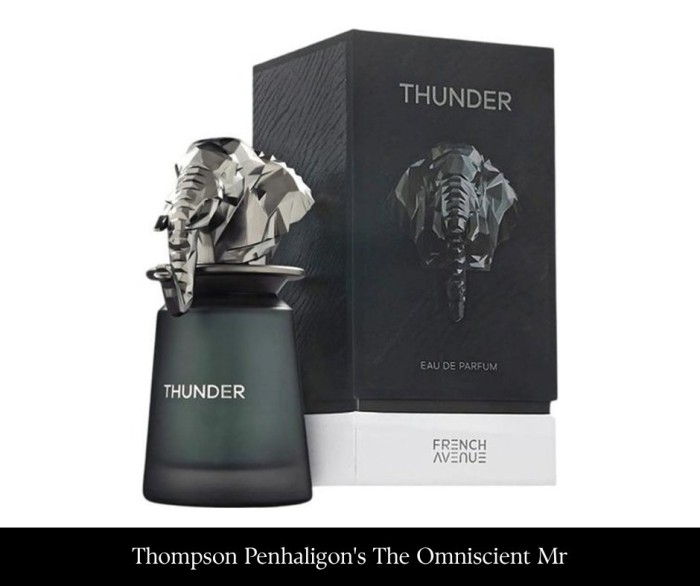 French Avenue Thunder 100 ml EDP(1).jpg
