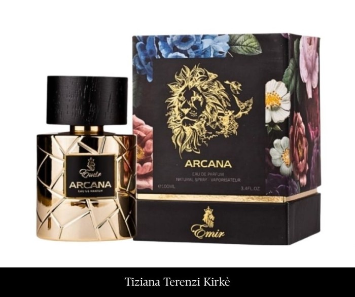 Paris Corner Emir Arcana 100 ml EDP(1).jpg