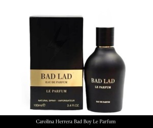 Fragrance World Bad Lad Le Parfum 100 ml EDP.jpg