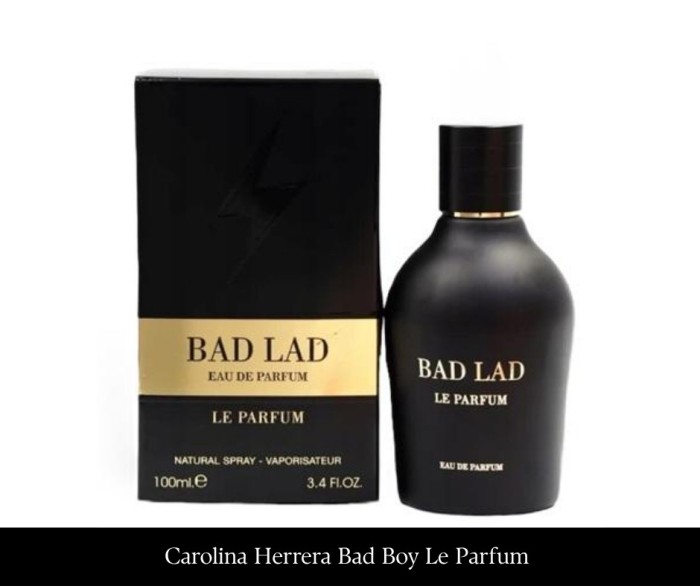 Fragrance World Bad Lad Le Parfum 100 ml EDP.jpg