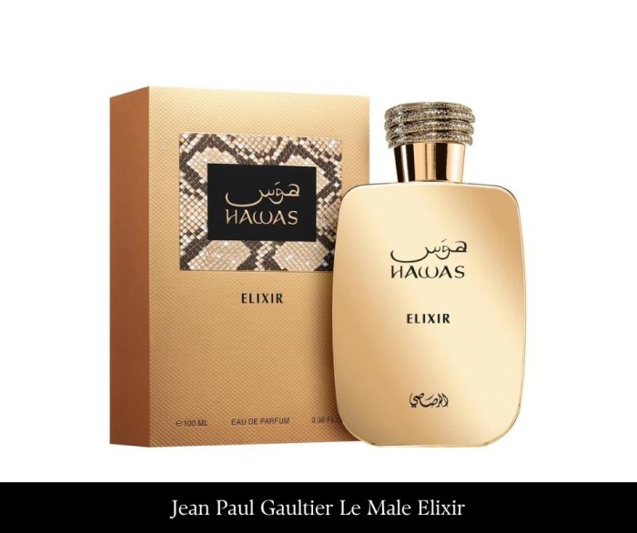 Rasasi Hawas Elixir Men 100 ml EDP(1).jpg