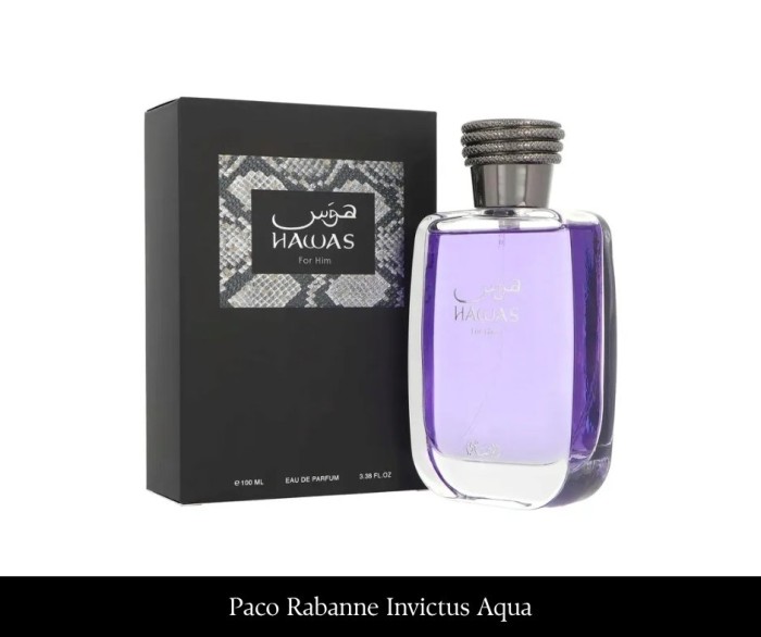 Rasasi Hawas Men 100 ml EDP(1).jpg