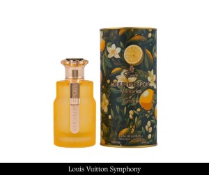 Paris Corner Emir Lueur d'espoir Memories of summer 100 ml EDP(1).jpg