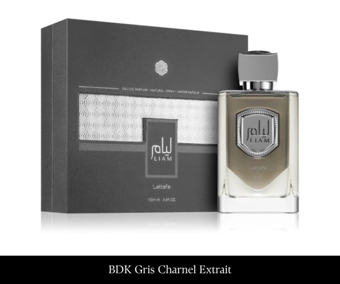 Lattafa Liam Grey 100 ml EDP.jpg