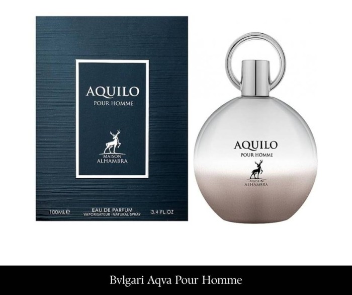 Maison Alhambra Aquilo Pour Homme 100 ml EDP.jpg