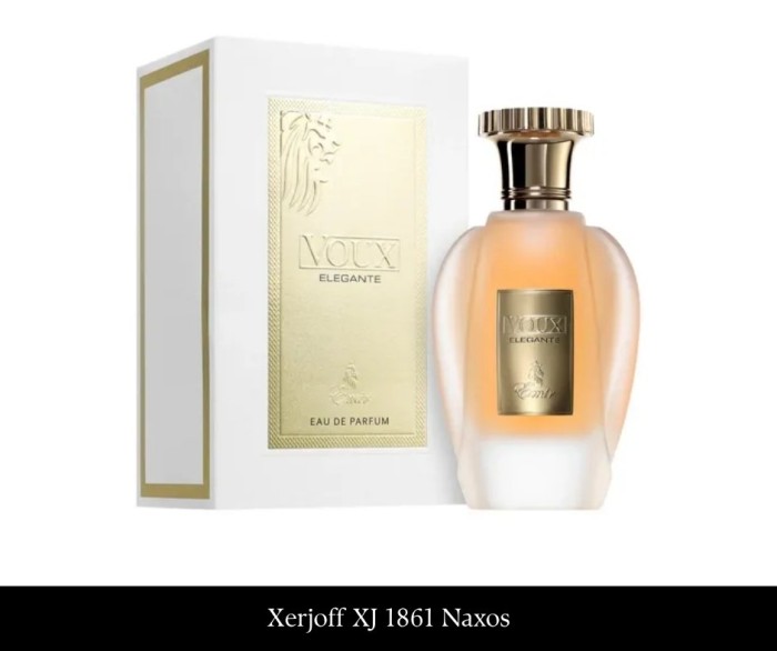 Paris Corner Emir Voux Elegante 100 ml EDP.jpg