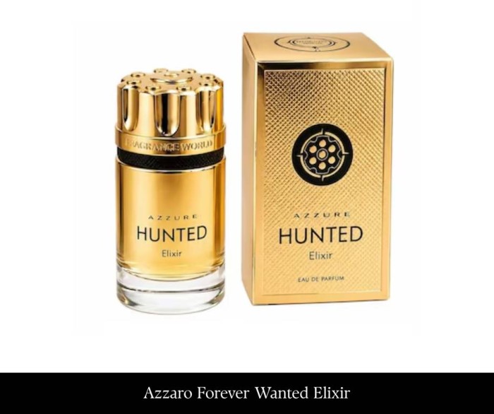 Fragrance World Azzure Hunted Elixir 100 ml EDP.jpg
