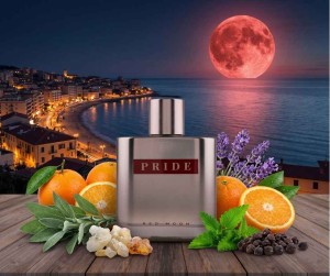 Fragrance World Pride Red Moon 100ml EDP(1).jpg