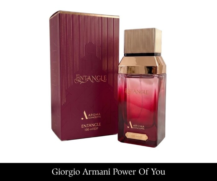 Aroma Concepts Entangle 100 ml EDP.jpg